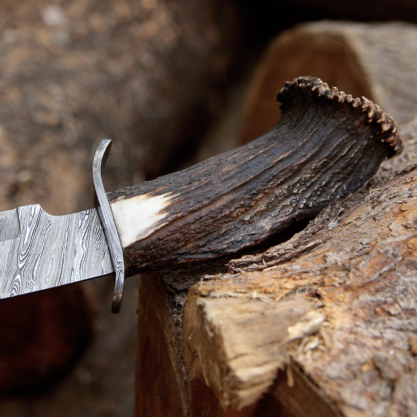 Wildfire Damascus Bowie Knife with Stag Antler Handle